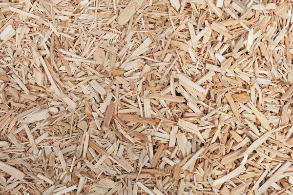 Closeup Shot Wood Chips Ground Background — Stock Photo, Image