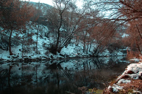 Pintoresco Bosque Invierno Con Río Cristalino — Foto de Stock