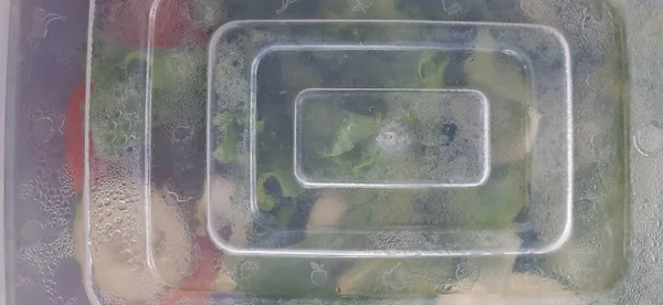 Hojas Lechuga Verde Salat Tomate Pepino Cortado Recipiente Cerrado Almacenamiento — Foto de Stock