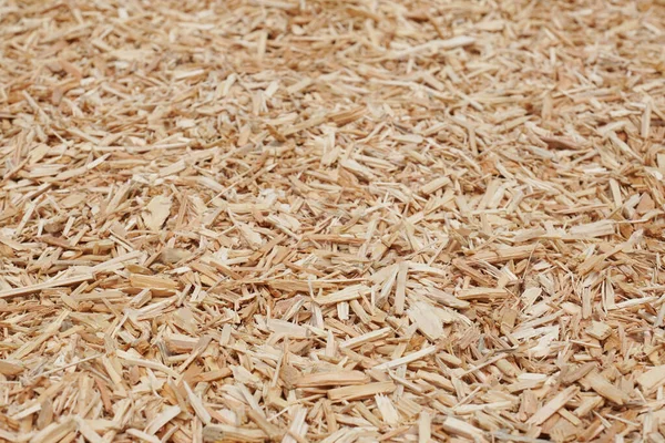 Closeup Shot Wood Chips Ground — Stock Photo, Image