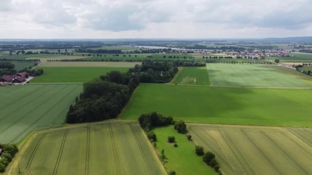 Воздушный Вид Поля Леса Сельской Местности — стоковое видео