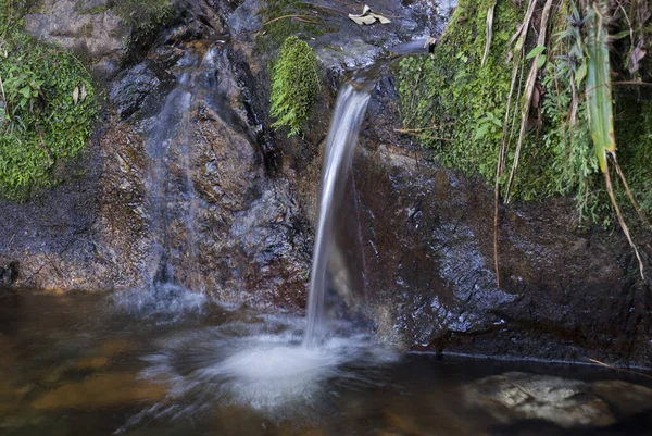 在危地马拉山区长期暴露的水的流动 在自然保护区的清洁和纯净的水的流动 — 图库照片