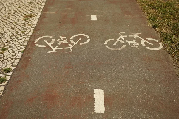 Una Vista Panorámica Dos Señales Bicicleta Pintadas Carretera — Foto de Stock