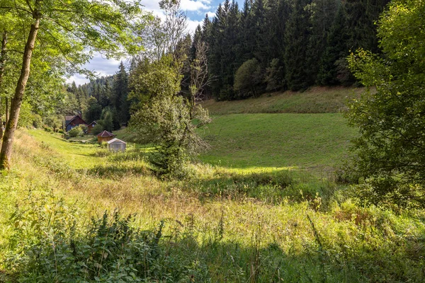 Eine Wunderschöne Landschaft Mit Vielen Bäumen Unter Wolkenverhangenem Himmel — Stockfoto