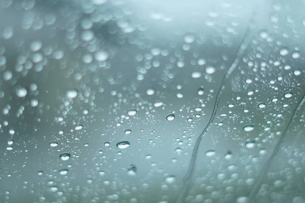 ガラス表面上の水滴の選択的焦点ショット — ストック写真