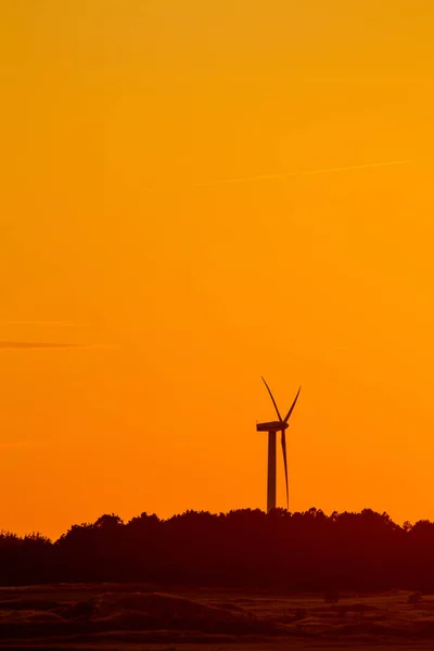 美丽的落日下 森林边的风力涡轮机 — 图库照片