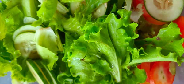 Yeşil Marul Salatası Yaprakları Domates Salatalık Kesimi — Stok fotoğraf