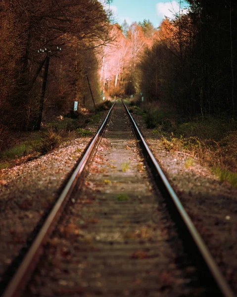 Colpo Verticale Rotaie Ferroviarie Campagna — Foto Stock