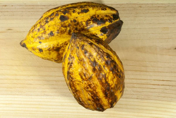 Cacao Uit Guatemala Vers Fruit Tafel Theobroma Cacao — Stockfoto