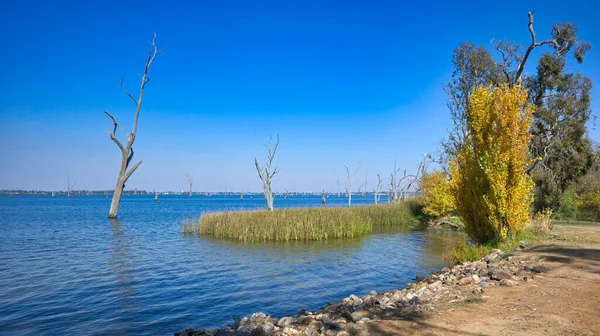 Hermoso Día Soleado Con Cielo Azul Claro Sobre Lago Mulwala — Foto de Stock