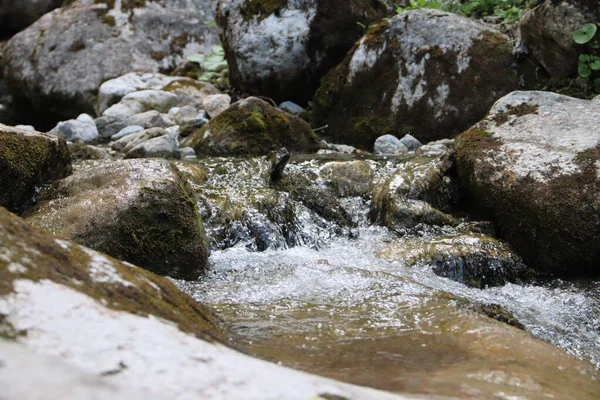 Eine Nahaufnahme Blühenden Wassers Auf Den Felsen — Stockfoto