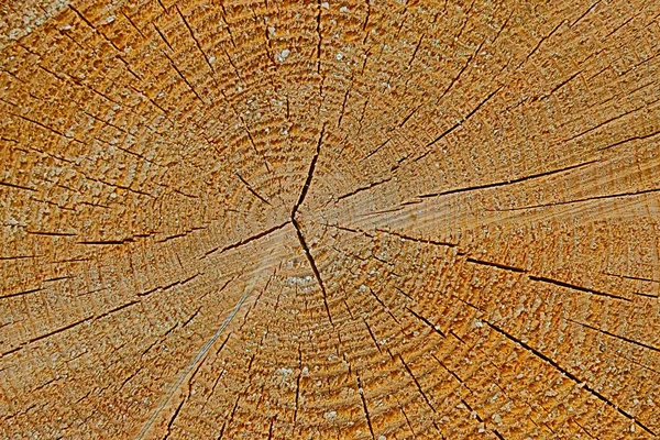 Una Struttura Legno Con Incrinature — Foto Stock