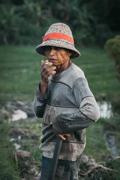 Bali Indonesia Marzo 2020 Vieja Trabajadora Indonesia Arrozales Fumando Arrozal — Foto de Stock