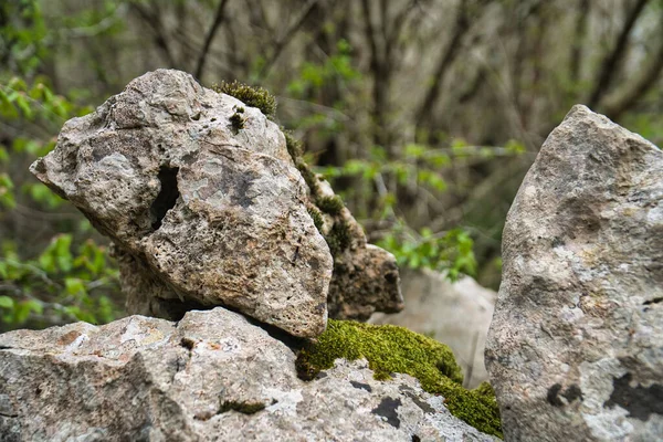 Primer Plano Rocas Cubiertas Musgo — Foto de Stock