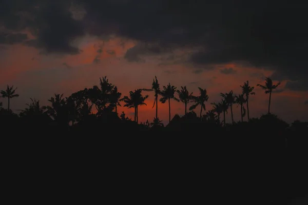 Silueta Palmera Con Cielo Atardecer Amanecer Puesta Sol Una Playa — Foto de Stock