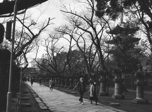 Tokyo Japón Marzo 2019 Caminando Por Sendero Parque Ueno Tokio — Foto de Stock