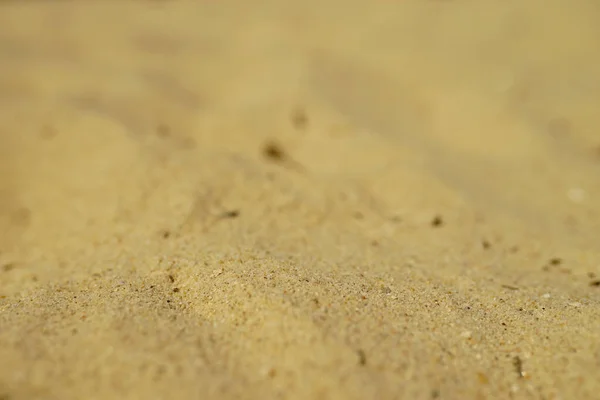 Tiro Foco Seletivo Areia Dourada — Fotografia de Stock