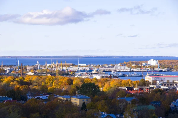 Eski Tallinn Estonya Nın Güzel Mimarisi — Stok fotoğraf