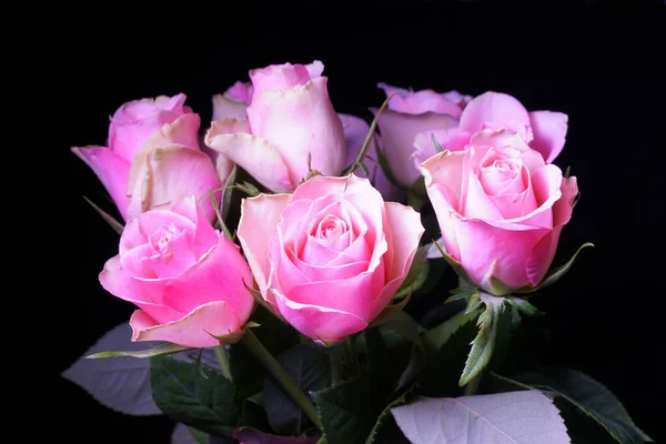 Избранный Снимок Розовых Роз Букете Черном Фоне — стоковое фото