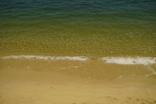 Een Arenaceous Kustlijn Groen Water Zee Een Zonnige Dag — Stockfoto