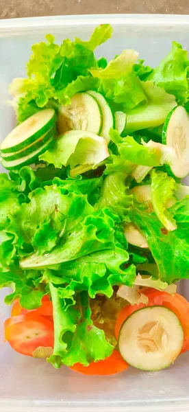 Hojas Ensalada Lechuga Verde Tomate Pepino Cortado Recipiente Almacenamiento Alimentos — Foto de Stock