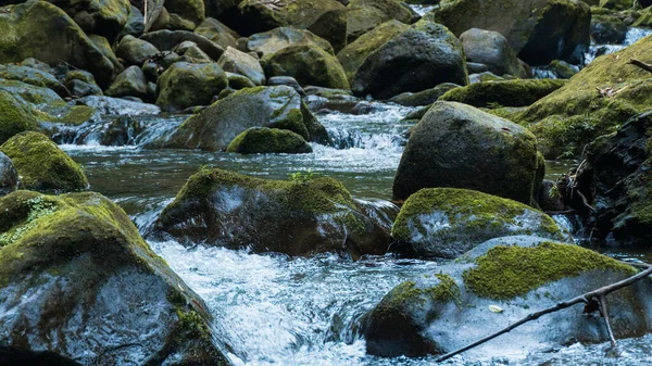 Große Bemooste Steine Auf Einem Fluss Wald — Stockfoto