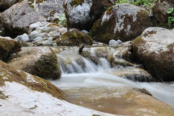 Belo Tiro Uma Água Corrente Rio Rochoso — Fotografia de Stock