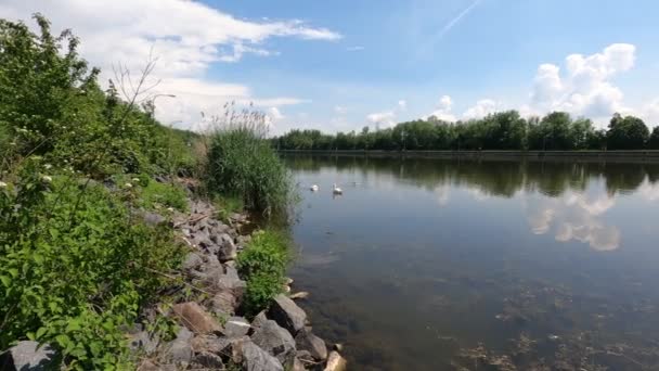 Hermoso Paisaje Con Río Lago — Vídeo de stock