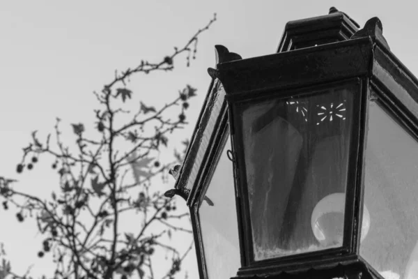 Een Grijswaarden Closeup Shot Van Een Wijnoogst Straat Lamp — Stockfoto