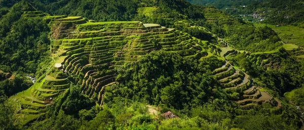 Una Panoramica Delle Panoramiche Terrazze Riso Banaue Nelle Filippine — Foto Stock