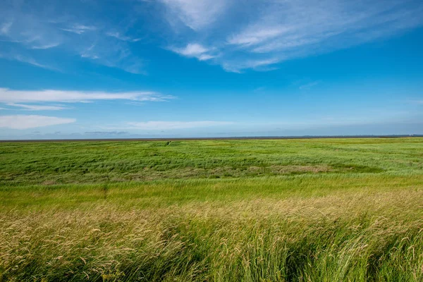 Landskapsutsikt Över Ett Fält Den Blå Himlen — Stockfoto