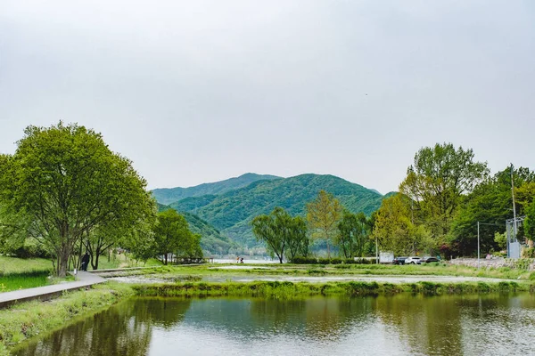 Korea Gunung Dan Danau Hijau — Stok Foto