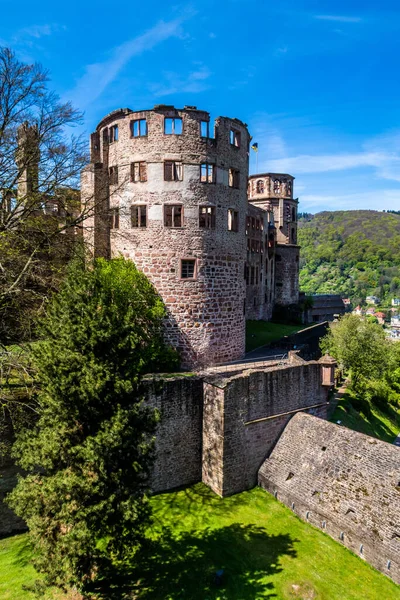 Uma Foto Vertical Jardim Castelo Heidelberg Heidelberg Alemanha — Fotografia de Stock