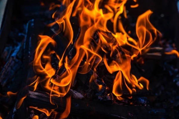 바베큐 재료를 만들기 위하여 태우는 아름다운 요리하기 — 스톡 사진