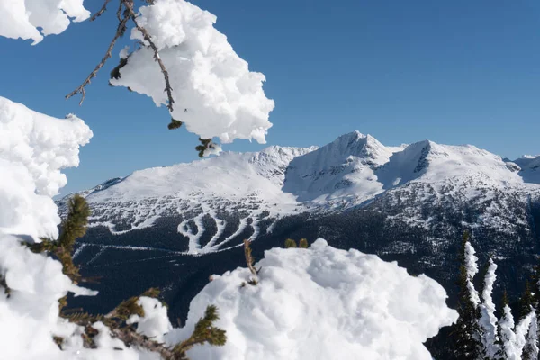 晴れた日にはウィスラーの雪の山 — ストック写真