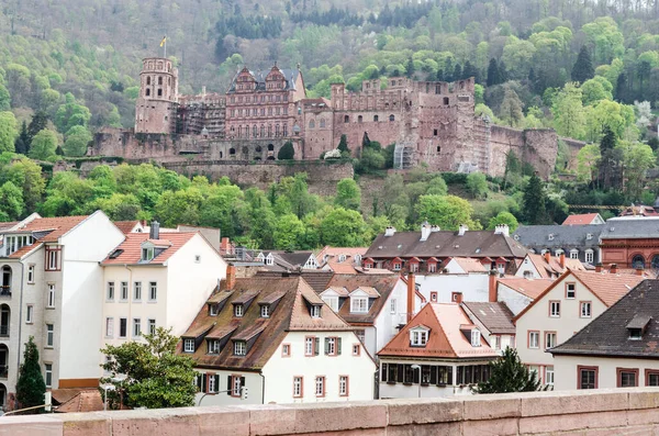 Bonito Paisaje Urbano Heidelberg Alemania — Foto de Stock