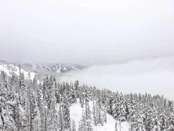 Uma Vista Aérea Florestas Nevadas Nevoeiro Grosso Vindo — Fotografia de Stock