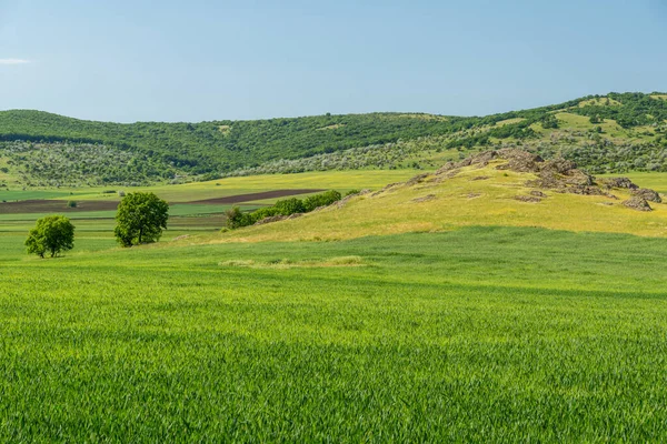 Piękny Widok Krajobraz Rozległym Zielonym Polem Wzgórzami — Zdjęcie stockowe