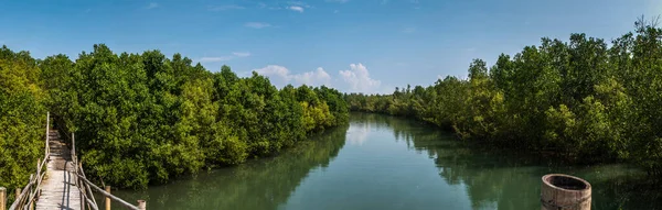 Plano Panorámico Río Que Fluye Través Del Bosque Día Soleado —  Fotos de Stock