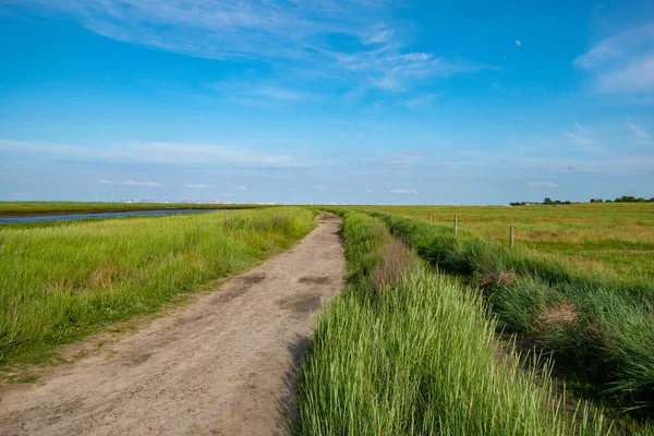 Chemin Travers Champ Près Petit Lac — Photo