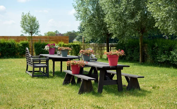 Gros Plan Tables Chaises Bois Pour Pique Niquer Dans Jardin — Photo
