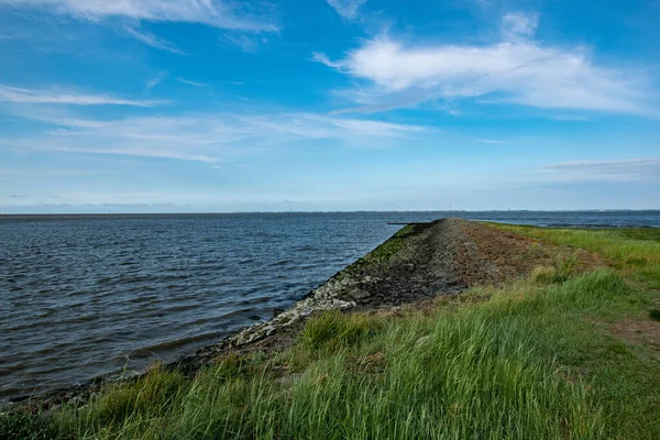 Gräsbevuxen Strand Vid Fredlig Flod — Stockfoto