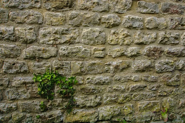 Крупный План Старой Каменной Стены — стоковое фото