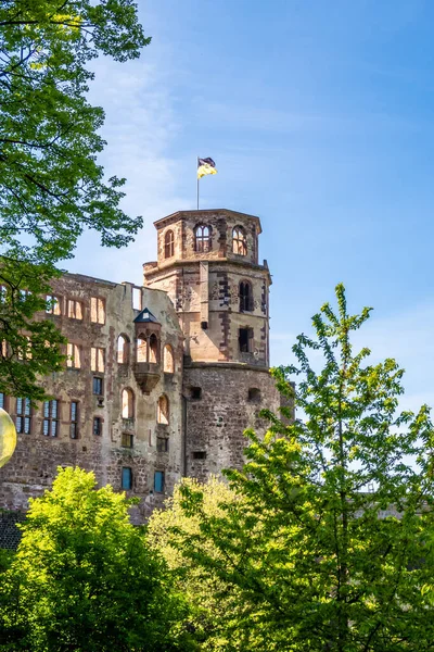 Een Verticale Opname Van Heidelberg Castle Garden Heidelberg Duitsland — Stockfoto