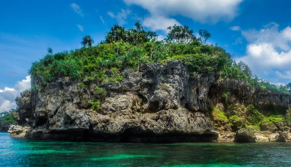 Ein Meer Mit Bäumen Einem Bewölkten Tag — Stockfoto