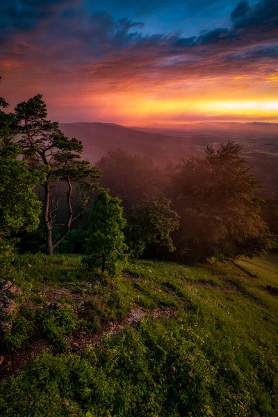 Tiro Vertical Val Orcia Pôr Sol Itália — Fotografia de Stock