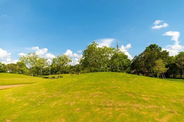 Eine Malerische Parklandschaft Einem Sonnigen Tag — Stockfoto