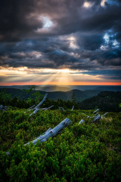 Eine Vertikale Aufnahme Des Val Orcia Bei Sonnenuntergang Italien — Stockfoto