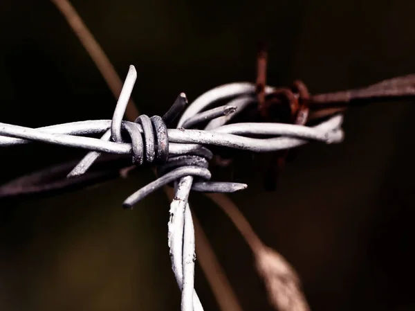 Primer Plano Una Pieza Alambre Púas Sobre Fondo Oscuro —  Fotos de Stock