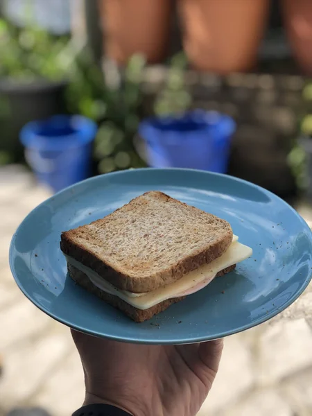 Hand Holding Blue Plate Sandwich Blurry Garden Background — Stock Photo, Image